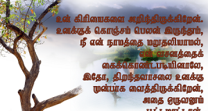 உனக்குக் கொஞ்சம் பெலன் இருந்தும்