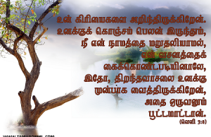 உனக்குக் கொஞ்சம் பெலன் இருந்தும்