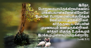 இதோ, பொறுமையாய் இருக்கிறவர்களைப் பாக்கியவான்கள் என்கிறோமே