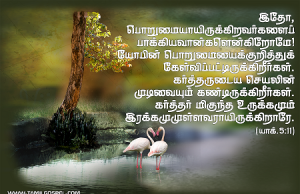 இதோ, பொறுமையாய் இருக்கிறவர்களைப் பாக்கியவான்கள் என்கிறோமே