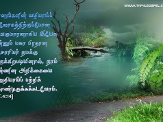 மகா பிரதான ஆசாரியர்