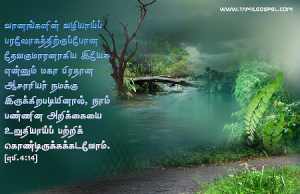 மகா பிரதான ஆசாரியர்