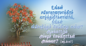 நீங்கள் விசேஷித்துச் செய்கிறது என்ன?