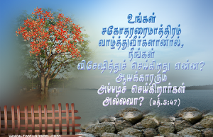 நீங்கள் விசேஷித்துச் செய்கிறது என்ன?