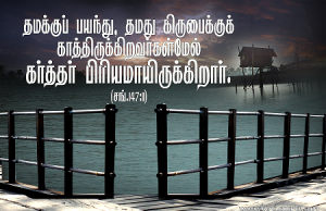 தமது கிருபைக்குக் காத்திருக்கிறவர்கள்