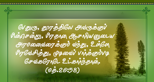 பேதுரு தூரத்திலே பின்சென்றான்