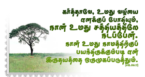 நான் உமது சத்தியத்திலே நடப்பேன்