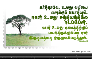 நான் உமது சத்தியத்திலே நடப்பேன்