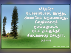 கர்த்தர் யோசேப்போடே இருந்தார்