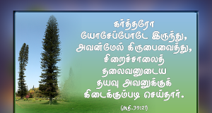 கர்த்தர் யோசேப்போடே இருந்தார்