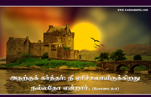 நீ எரிச்சலாயிருக்கிறது நல்லதோ