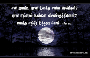 எனக்கு எதிரே உத்தரவு சொல்