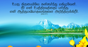 என் ஆத்தும வியாகுலங்களை அறிந்திருக்கிறார்