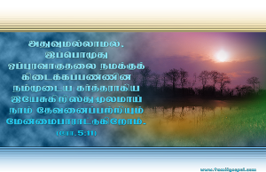 இப்பொழுது ஒப்புரவாகுதலை நமக்குக் கிடைக்கப் பண்ணினார்