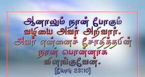 அவர் என்னைச் சோதித்தபின் பொன்னாக விளங்குவேன்