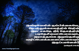 இஸ்ரவேலில் நம்பிக்கை