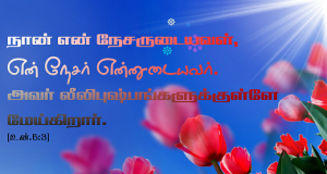 அவர் லீலி புஷ்பங்களுக்குள்ளே மேய்கிறார்