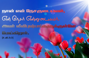 அவர் லீலி புஷ்பங்களுக்குள்ளே மேய்கிறார்