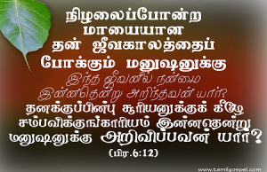 மனுஷனுக்கு இந்த ஜீவனில் நன்மை இன்னதென்று அறிந்தவன் யார்?