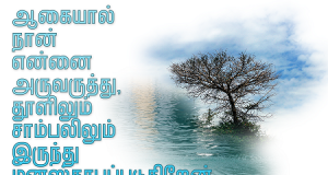 நான் என்னை அருவருக்கிறேன்