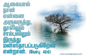 நான் என்னை அருவருக்கிறேன்