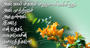 அவர் முற்றிலும் அழகுள்ளவர்