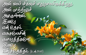 அவர் முற்றிலும் அழகுள்ளவர்