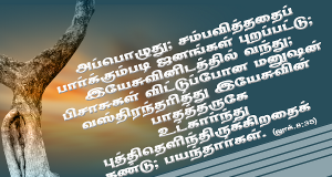 இயேசுவின் பாதத்தருகே உட்கார்ந்து