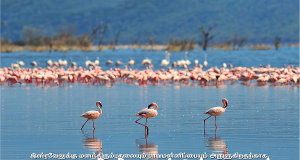 அதிபதியாகவும் இரட்சகராகவும்