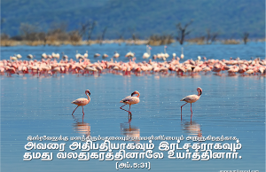 அதிபதியாகவும் இரட்சகராகவும்