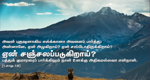 ஏன் சஞ்சலப்படுகிறாய்