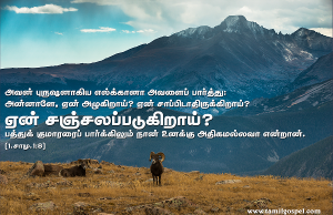 ஏன் சஞ்சலப்படுகிறாய்