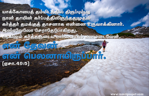 என் தேவன் என் பெலனாய் இருப்பார்