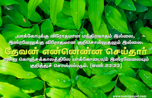 தேவன் என்னென்ன செய்தார்
