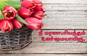 நீ மரணபரியந்தம் உண்மையாயிரு