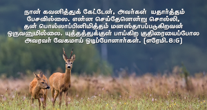 என்ன செய்தேன்