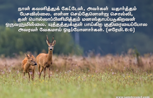 என்ன செய்தேன்