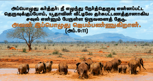 அவன் இப்பொழுது ஜெபம்பண்ணுகிறான்