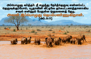 அவன் இப்பொழுது ஜெபம்பண்ணுகிறான்