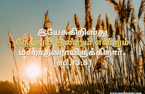 இயேசு கிறிஸ்து… மாறாதவராய் இருக்கிறார்