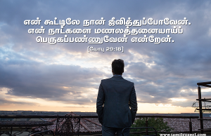 என் கூட்டிலே நான் ஜீவித்துப்போவேன்