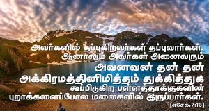 அவனவன் தன்தன் அக்கிரமத்தினிமித்தம் துக்கித்து