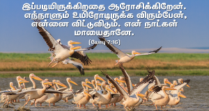 எந்நாளும் உயிரோடிருக்க விரும்வேன்