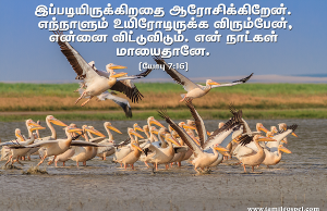 எந்நாளும் உயிரோடிருக்க விரும்வேன்