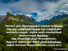 அதில் வண்டல்களின்மேல் அசையாமல் இருந்து