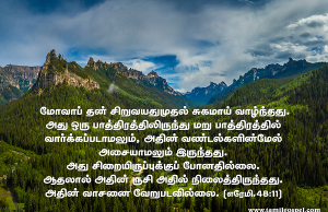 அதில் வண்டல்களின்மேல் அசையாமல் இருந்து