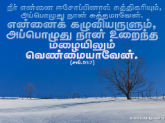 என்னைக் கழுவியருளும் அப்போது நான் உறைந்த மழையிலும் வெண்மையாவேன்