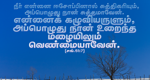 என்னைக் கழுவியருளும் அப்போது நான் உறைந்த மழையிலும் வெண்மையாவேன்
