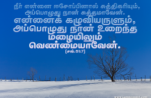 என்னைக் கழுவியருளும் அப்போது நான் உறைந்த மழையிலும் வெண்மையாவேன்