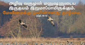 மேன்மைக்கு முன்னானது தாழ்மை